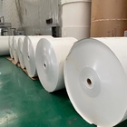 Offset 280G Jumbo Paper Roll ECO Paper Tea Cup Raw Material